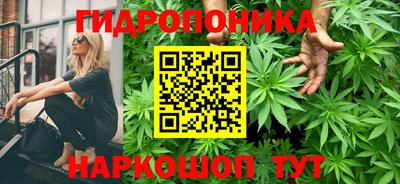 apvp Дубна