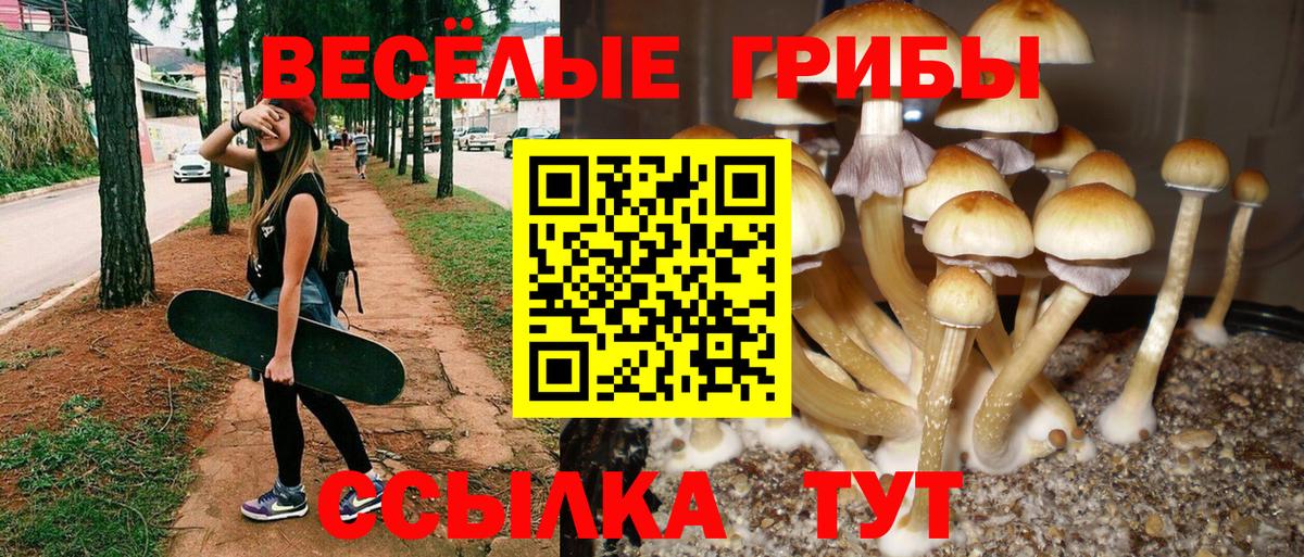 Галлюциногенные грибы ЛСД Тимашёвск