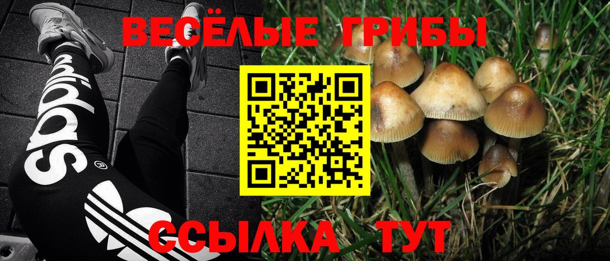 Псилоцибиновые грибы мицелий  Вход с VPN  Тимашёвск 